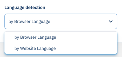3-language-detection.png
